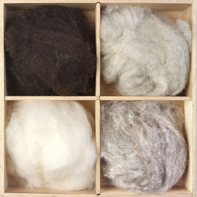 Irish carded wool fleece, undyed natural colour swatch